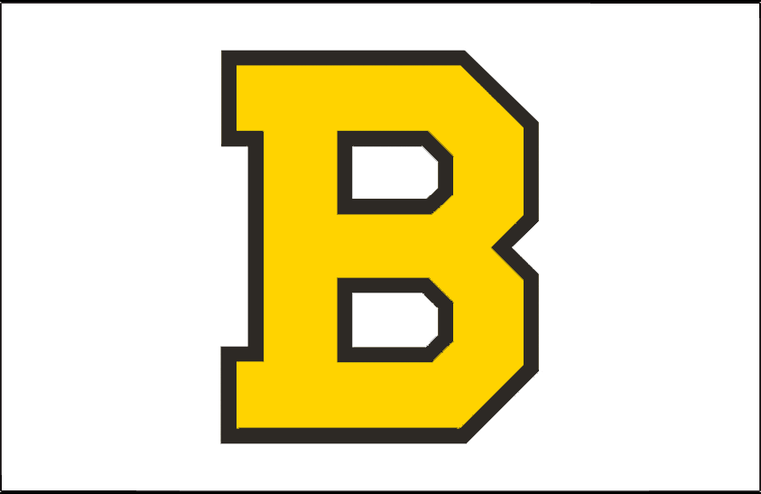 Boston Bruins 1940-1948 Jersey Logo t shirts iron on transfers